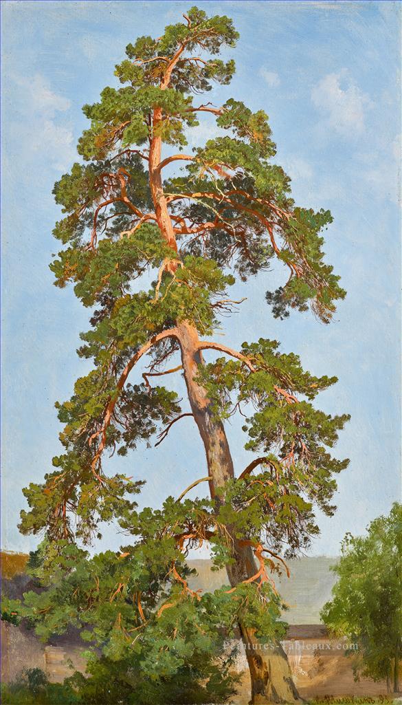 Paysage classique de Pine Tree Ivan Ivanovitch arbres Peintures à l'huile